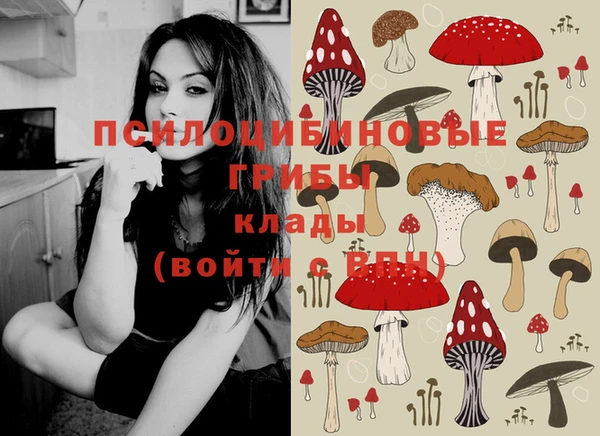 героин Алзамай